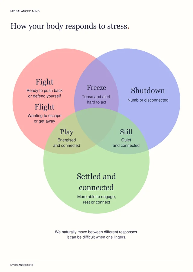 Stress-response guide showing Fight, Flight, Freeze, Shutdown, Play, Still, and Settled and connected